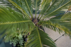 1_Channel-View-2018-62